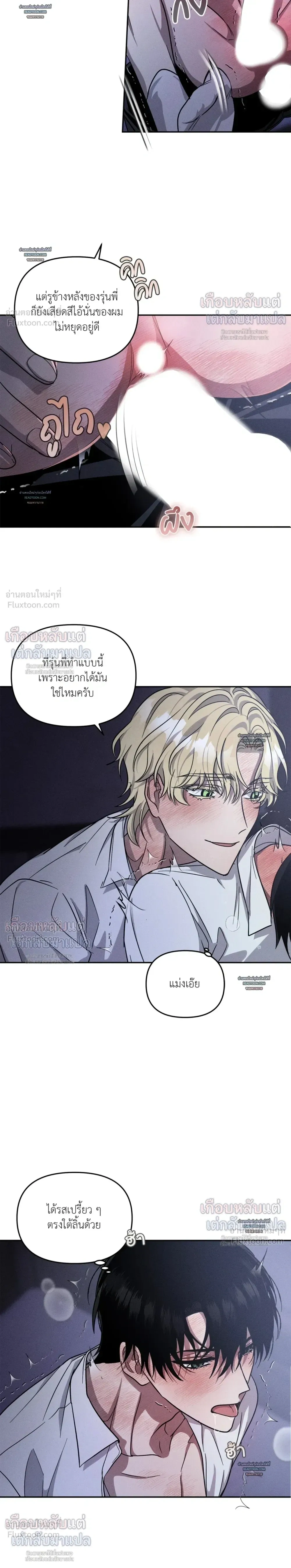 หน้าที่ 13