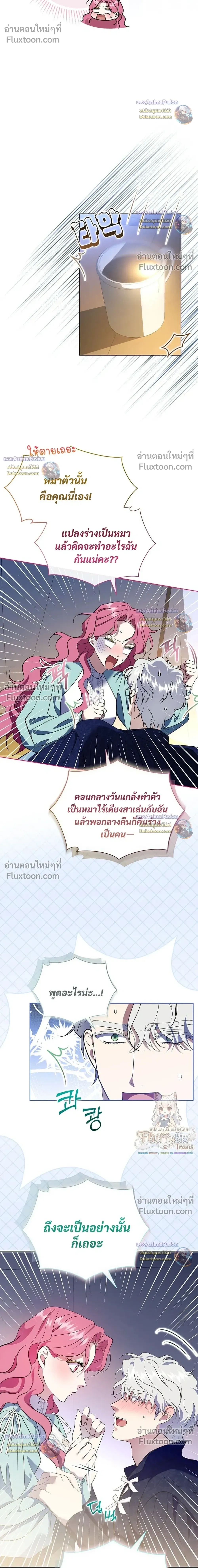 หน้าที่ 29