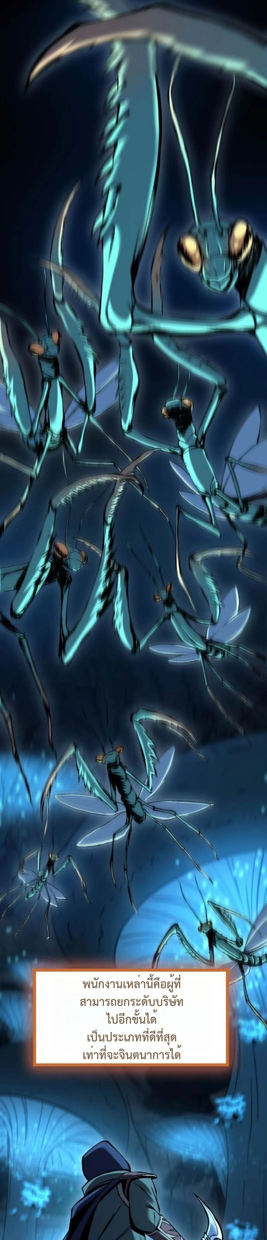 หน้าที่ 30