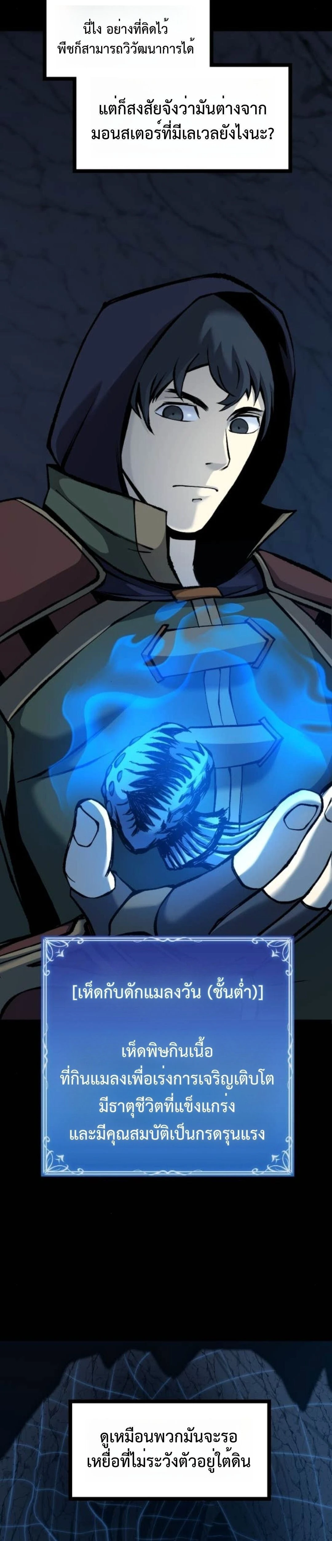 หน้าที่ 13