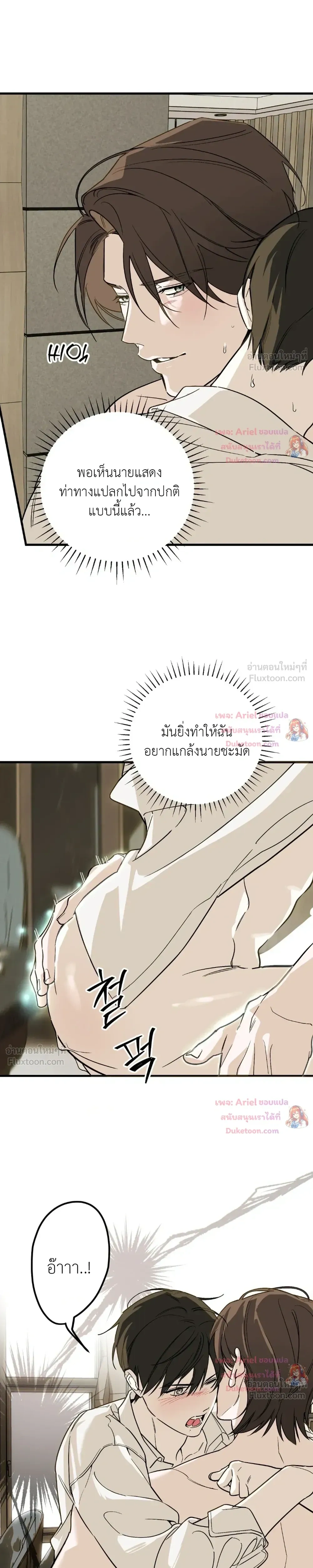 หน้าที่ 13