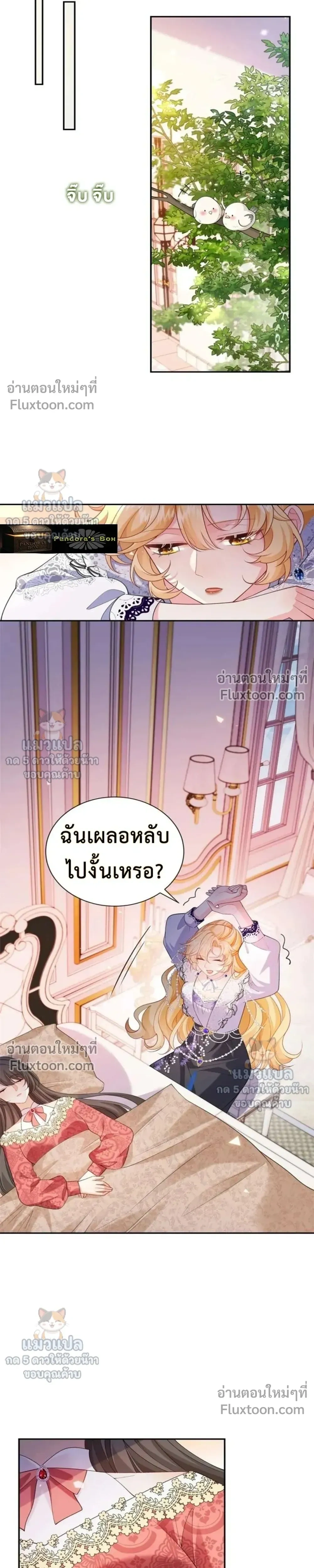 หน้าที่ 17