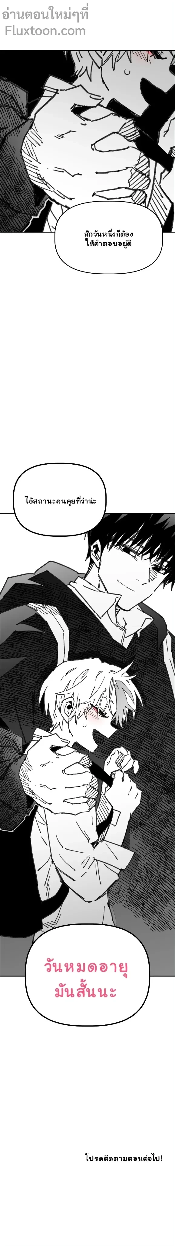 หน้าที่ 13