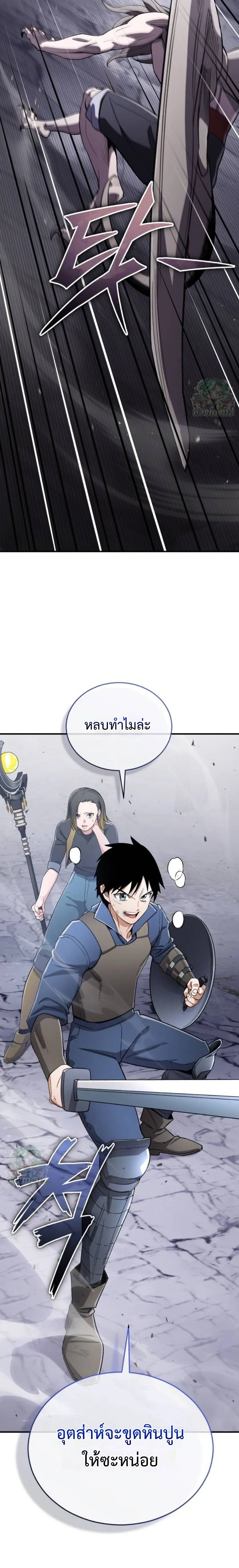 หน้าที่ 29
