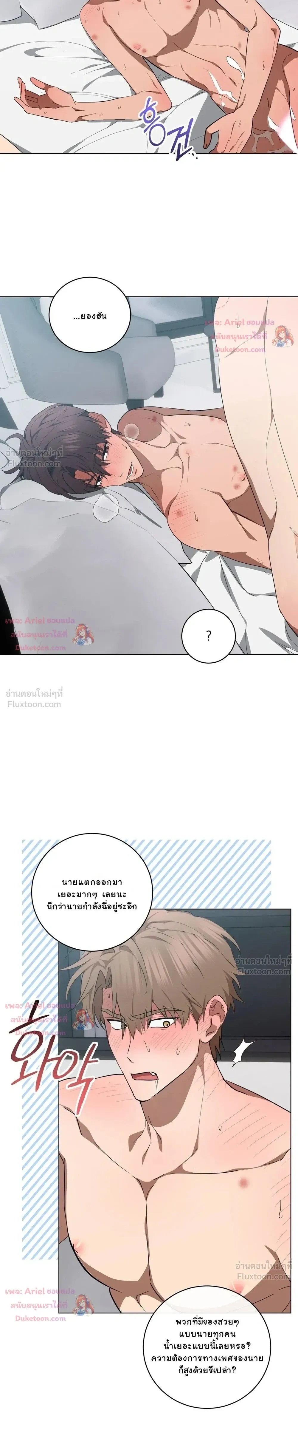 หน้าที่ 17