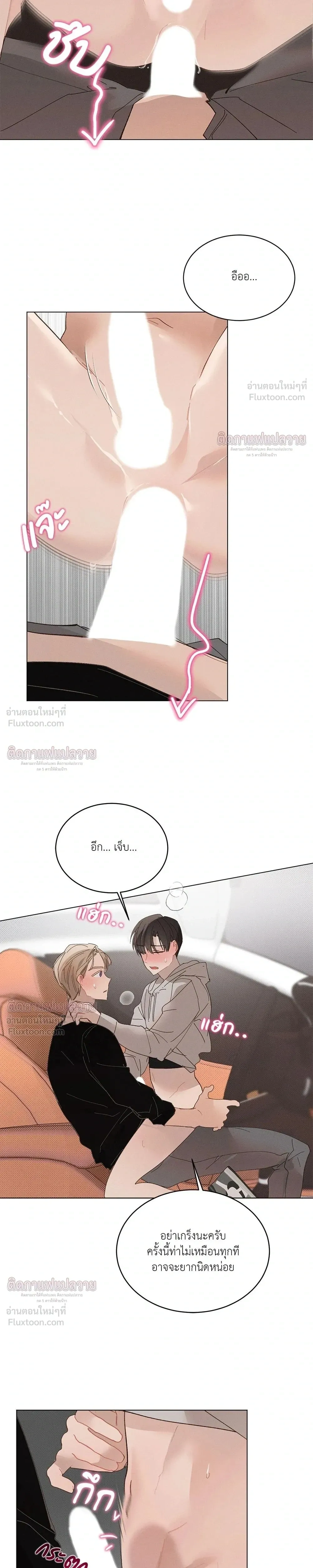 หน้าที่ 13