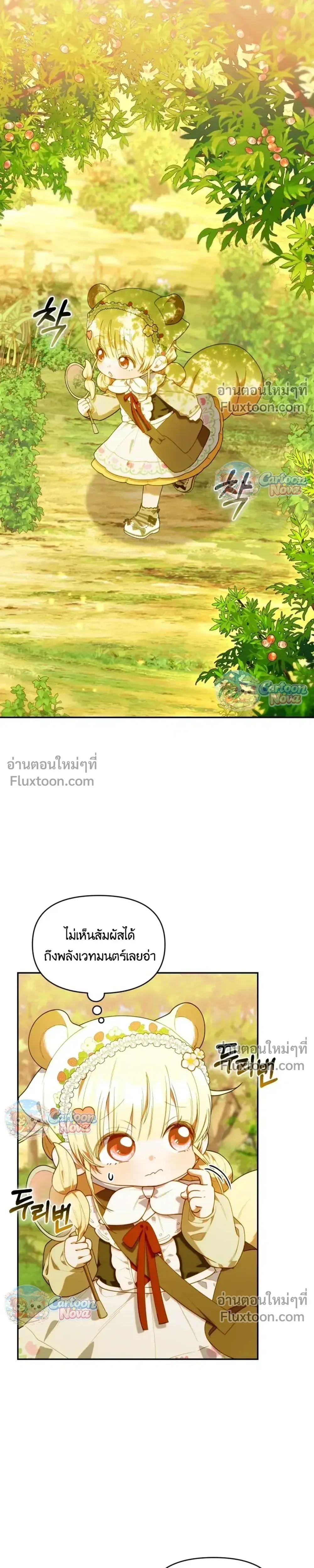 หน้าที่ 29