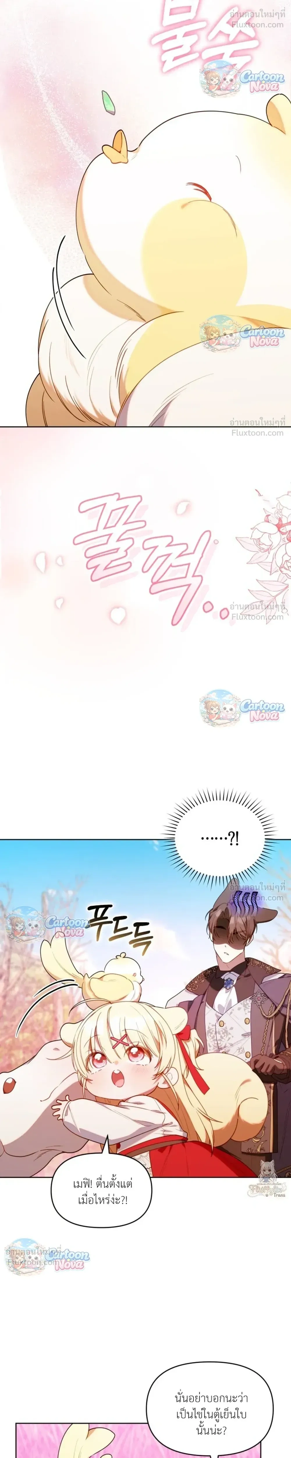 หน้าที่ 17