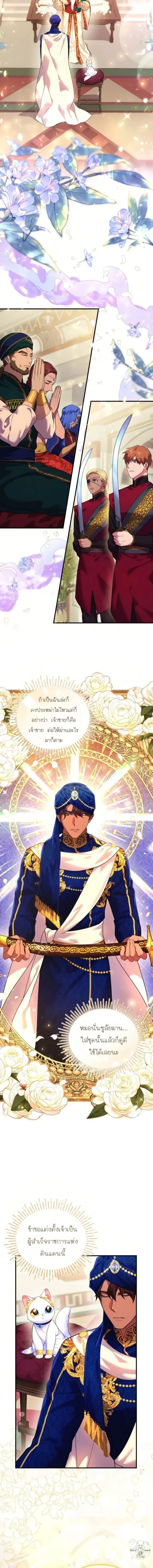 หน้าที่ 7