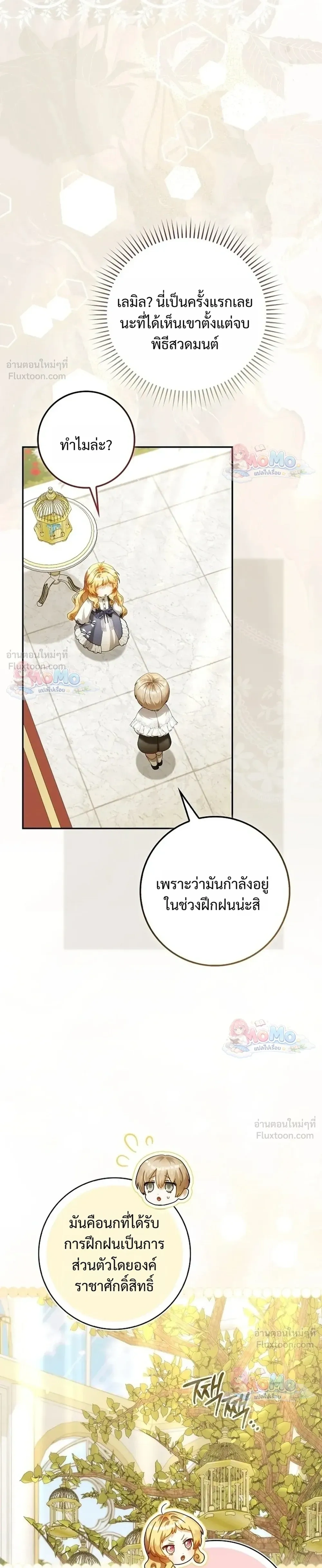 หน้าที่ 13