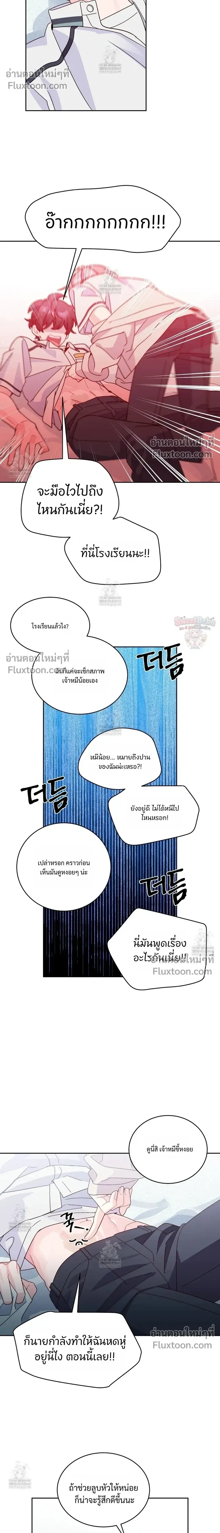 หน้าที่ 13