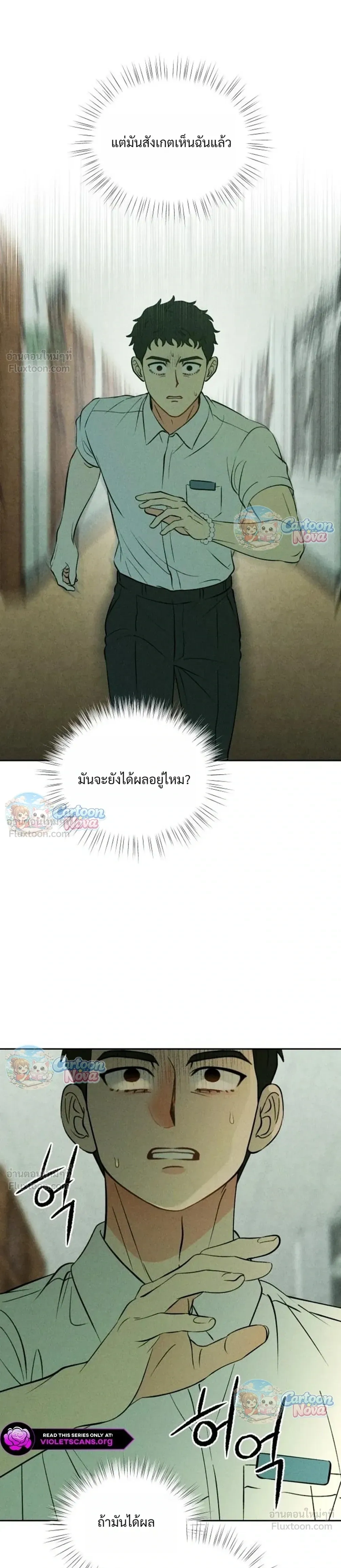หน้าที่ 13