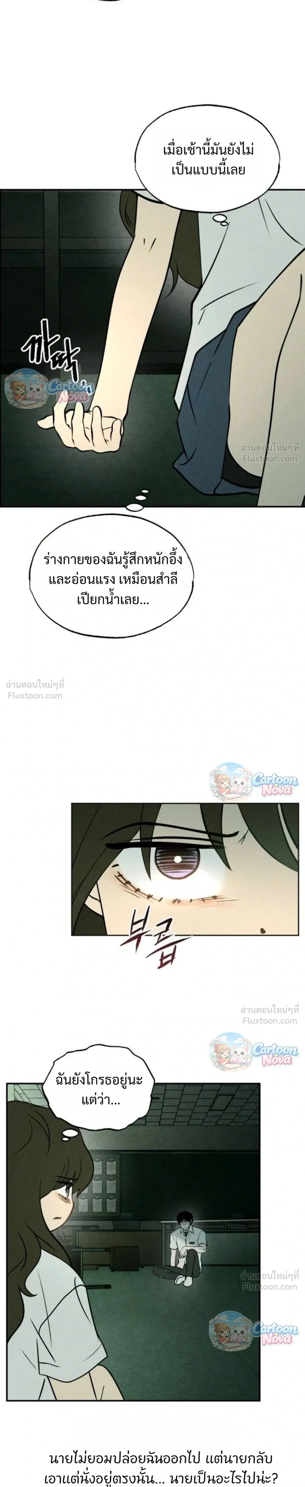 หน้าที่ 31