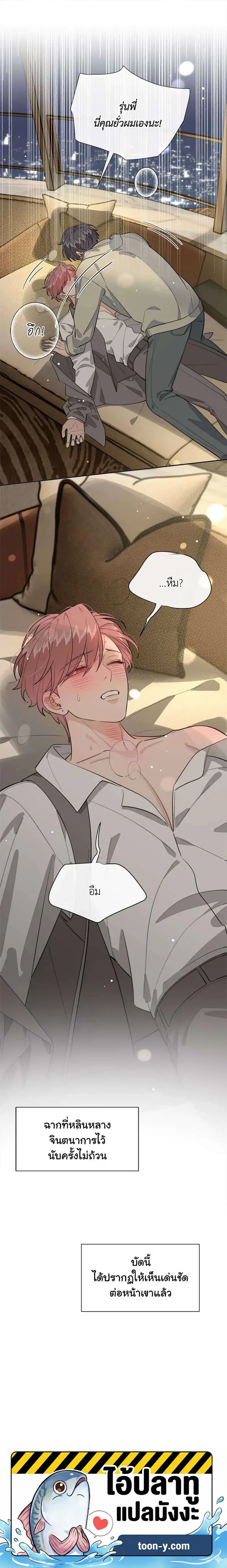 หน้าที่ 13