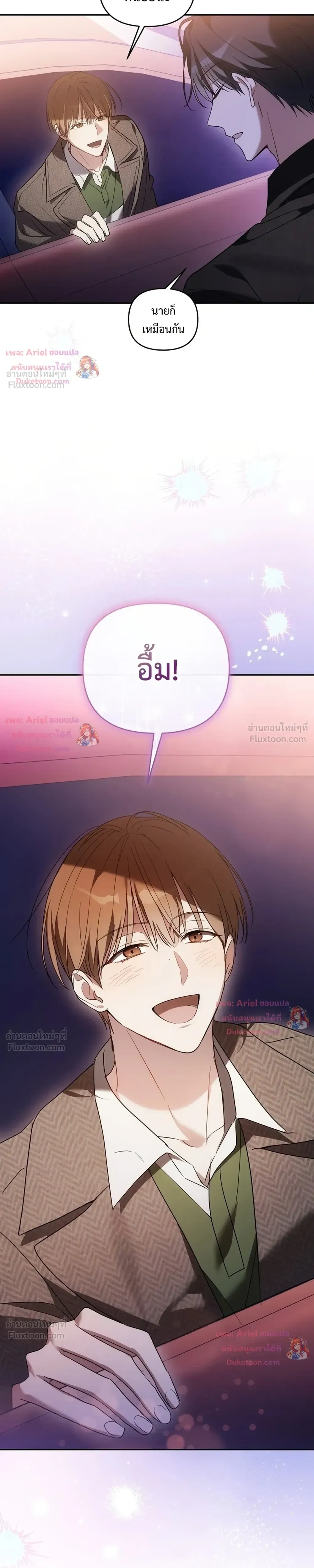 หน้าที่ 13
