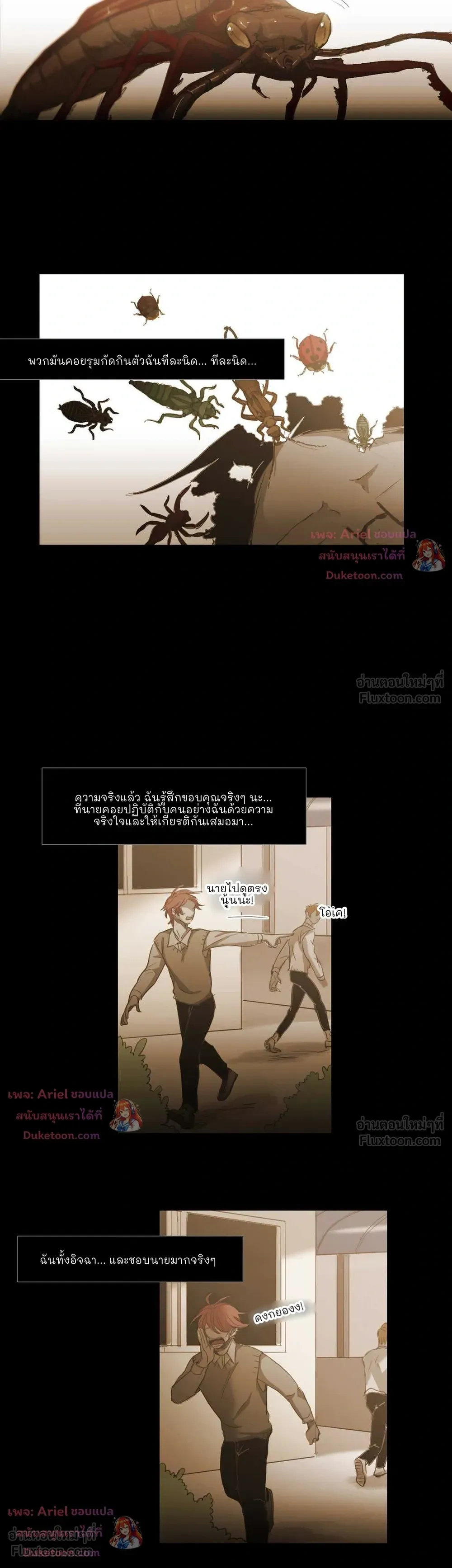 หน้าที่ 17