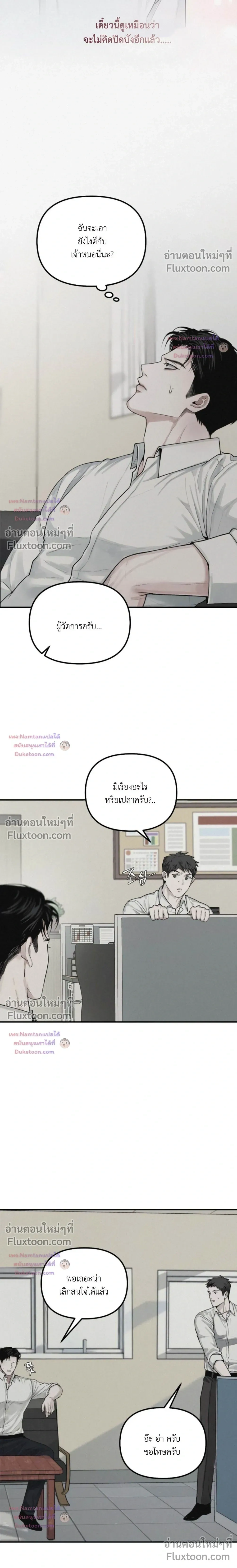 หน้าที่ 13