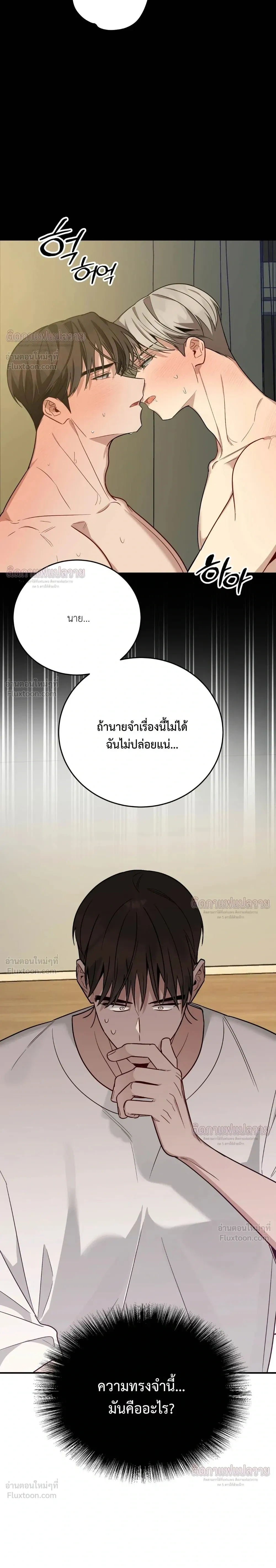 หน้าที่ 31