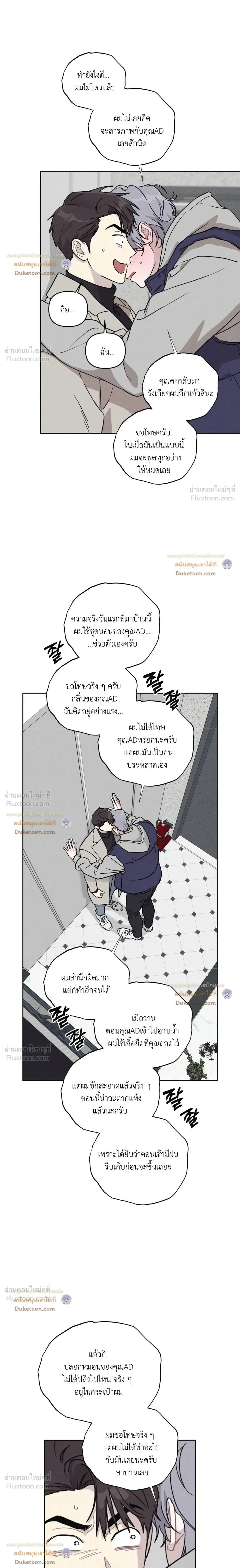 หน้าที่ 17