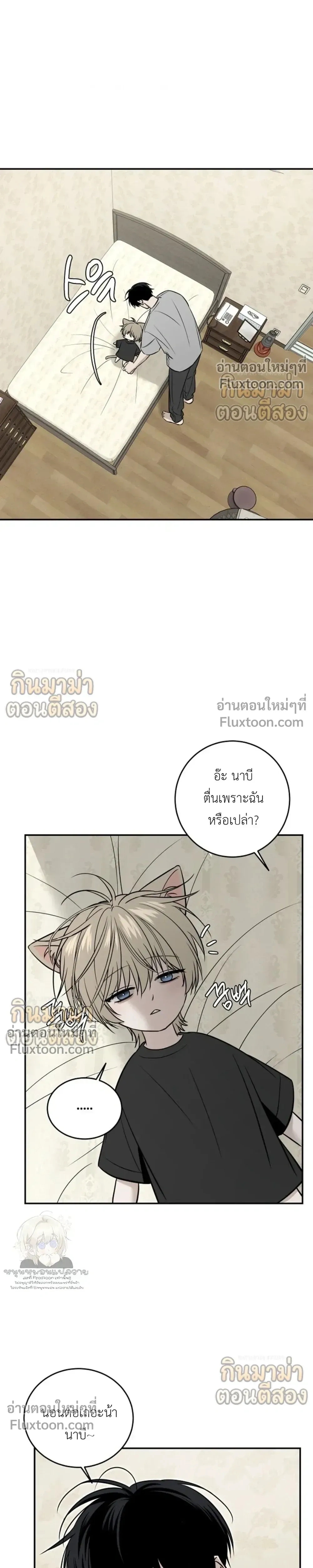 หน้าที่ 13