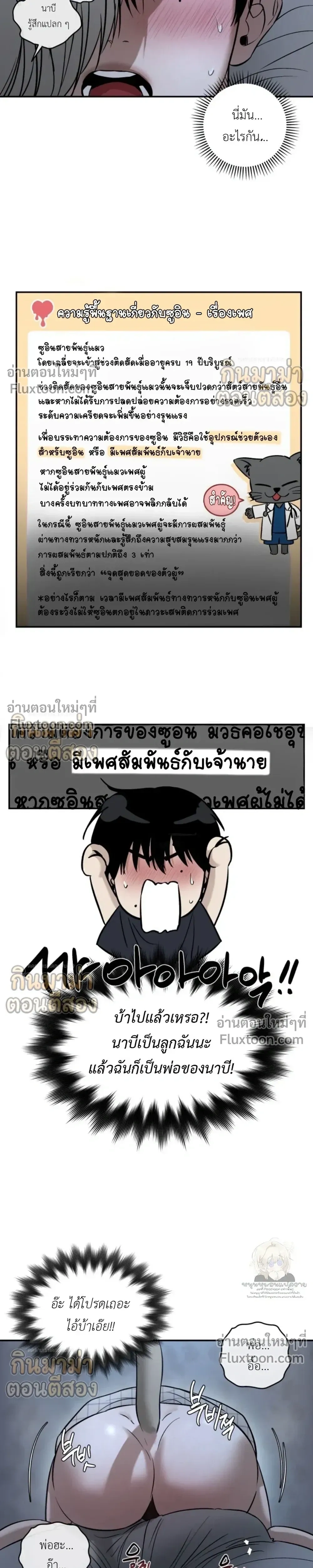 หน้าที่ 17