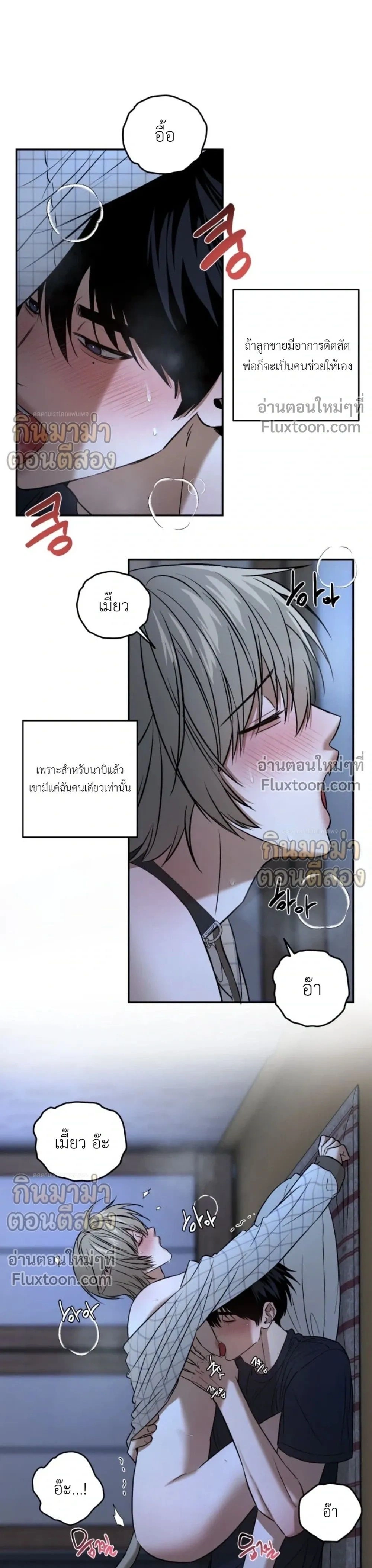 หน้าที่ 19