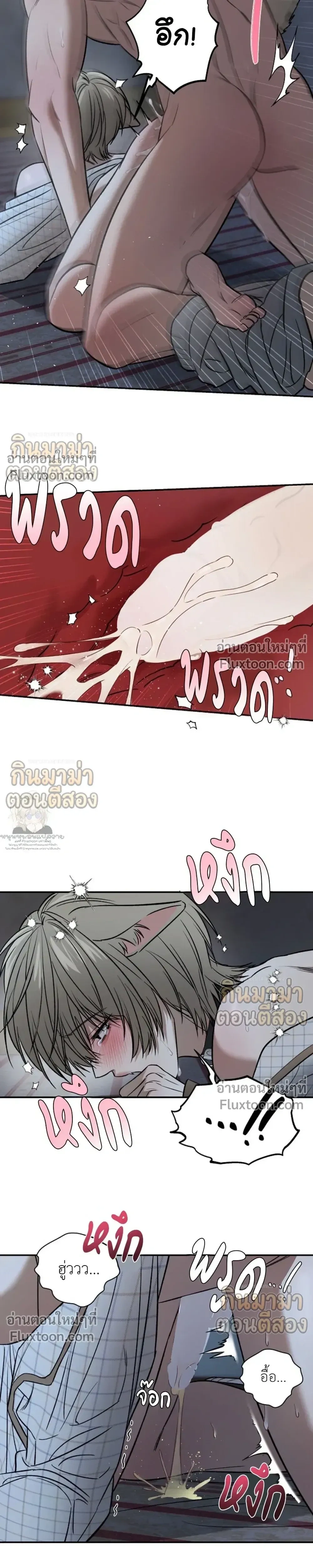 หน้าที่ 17