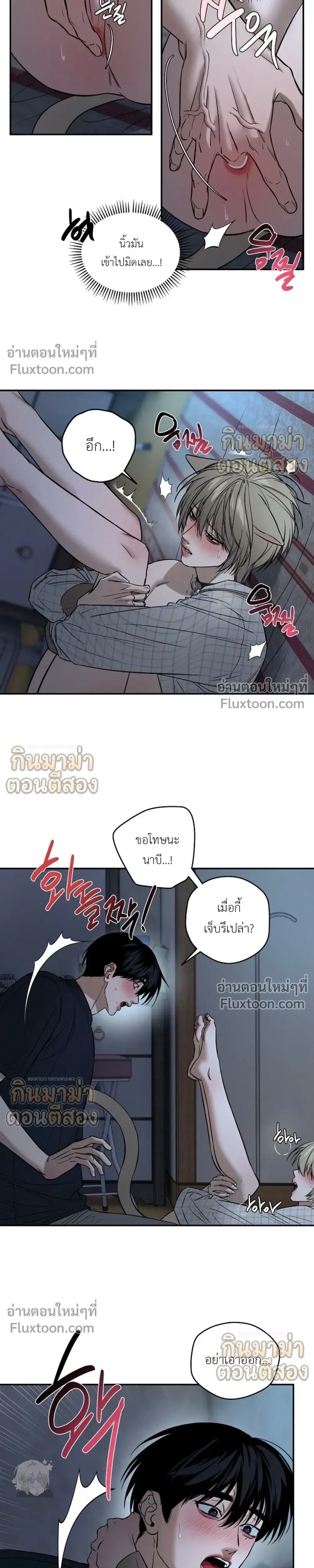 หน้าที่ 5