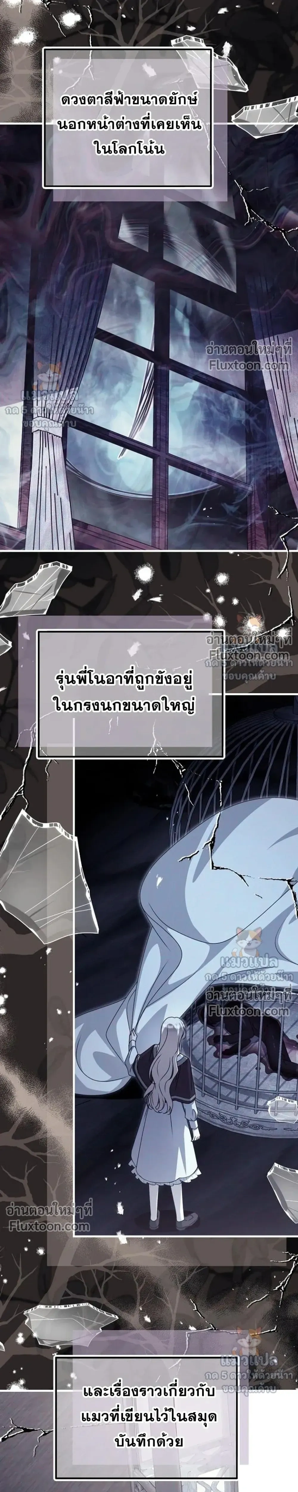 หน้าที่ 13