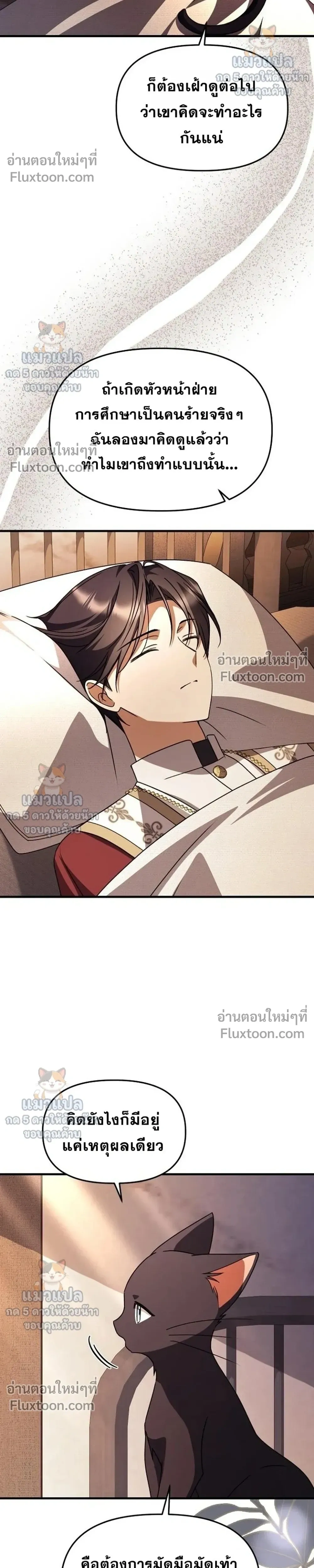 หน้าที่ 24