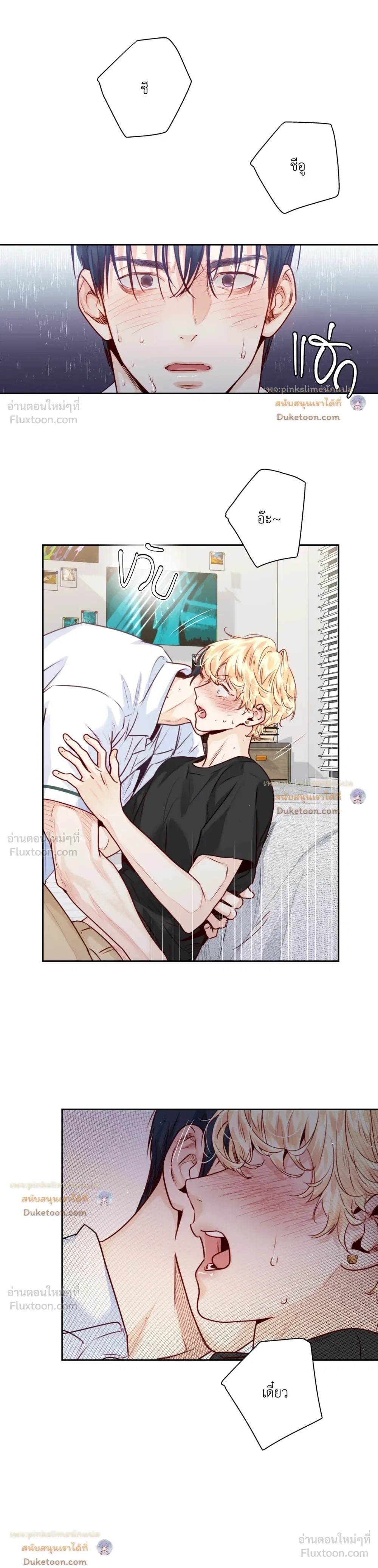 หน้าที่ 17