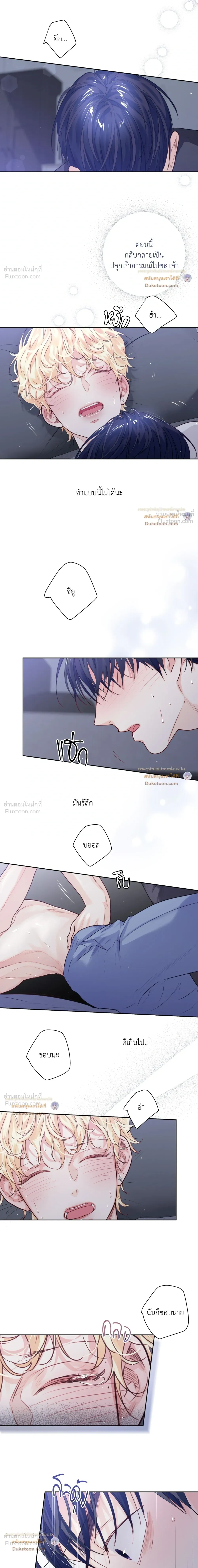 หน้าที่ 11