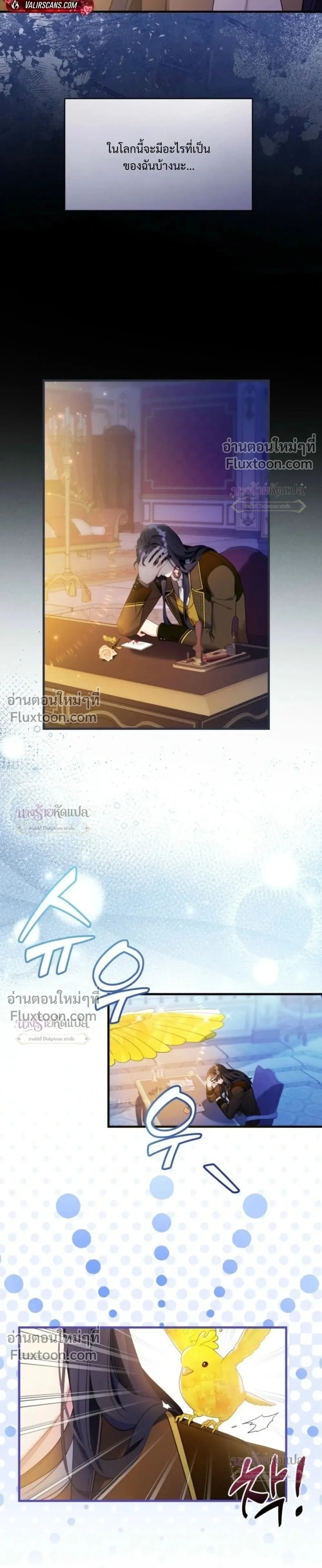 หน้าที่ 17