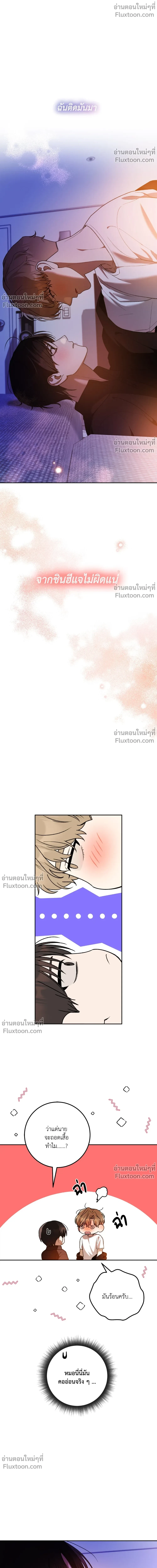 หน้าที่ 2