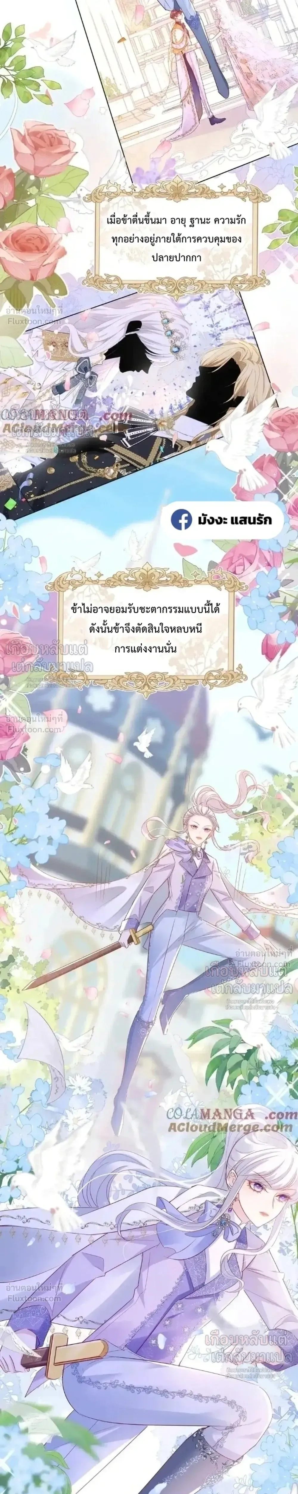 หน้าที่ 4