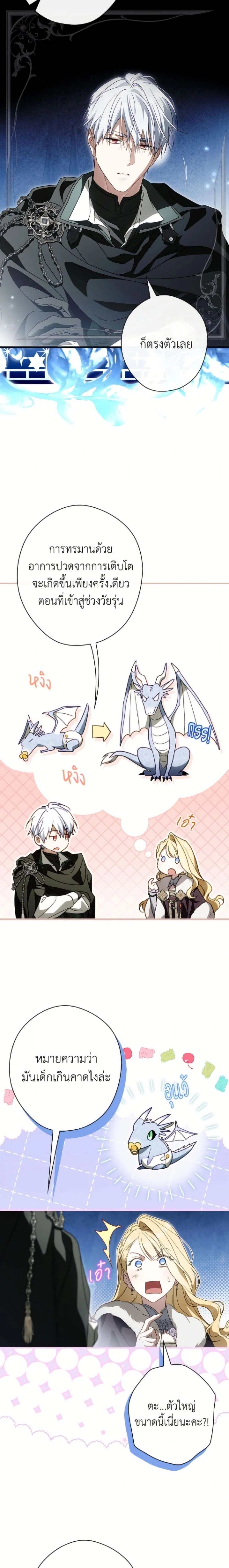 หน้าที่ 17