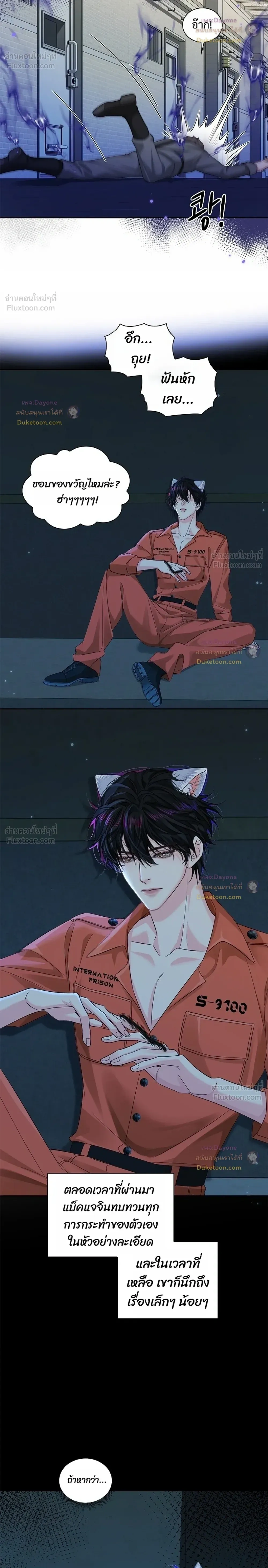หน้าที่ 8