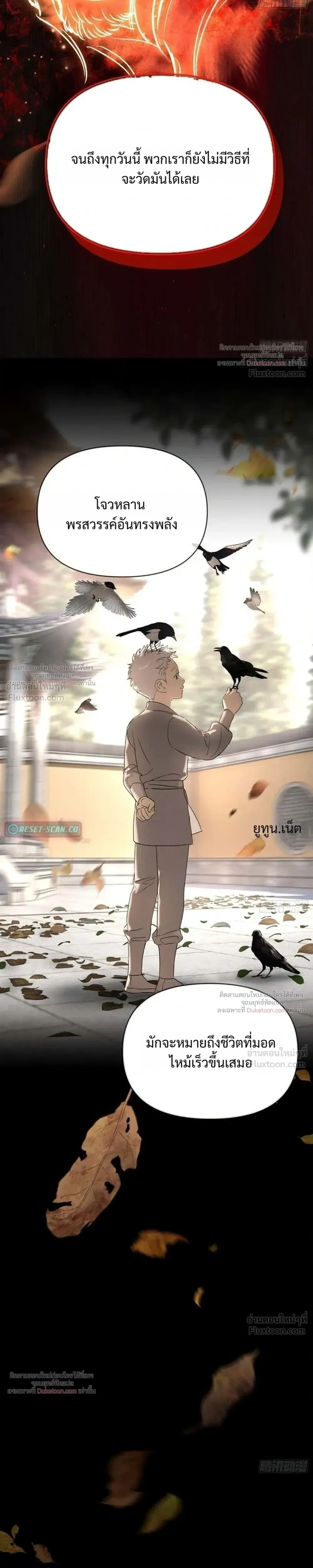 หน้าที่ 29
