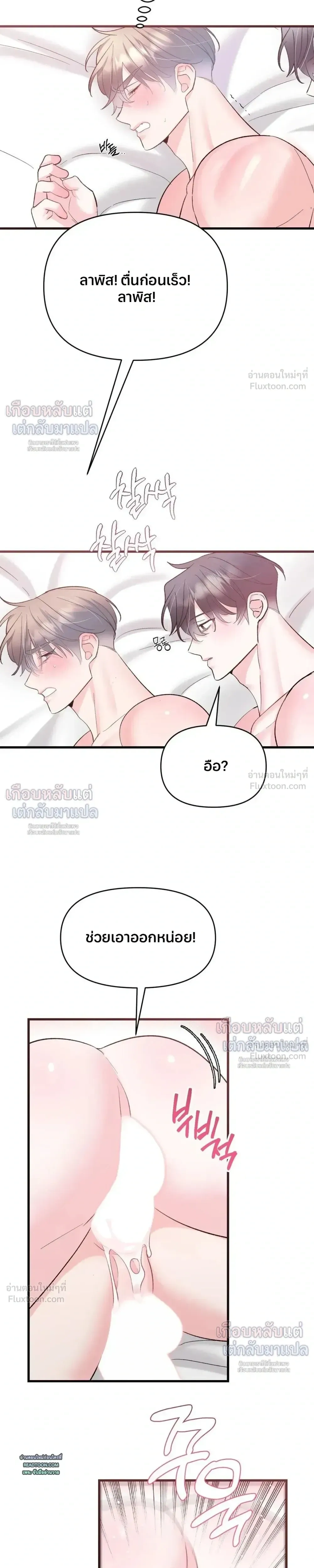 หน้าที่ 11