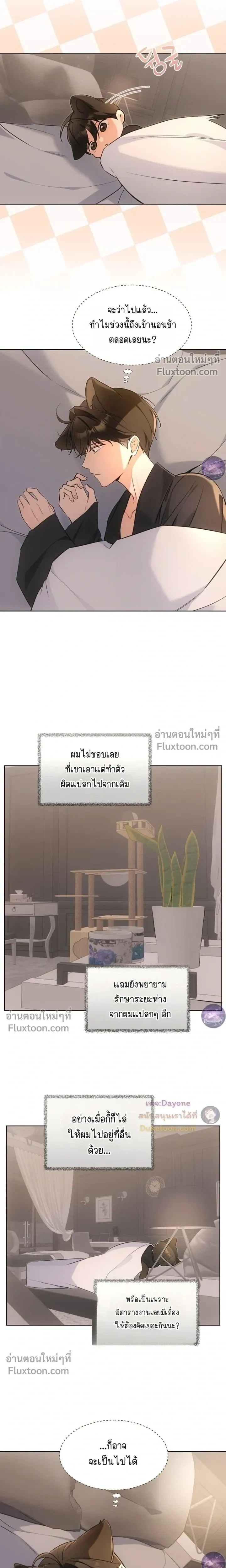 หน้าที่ 13