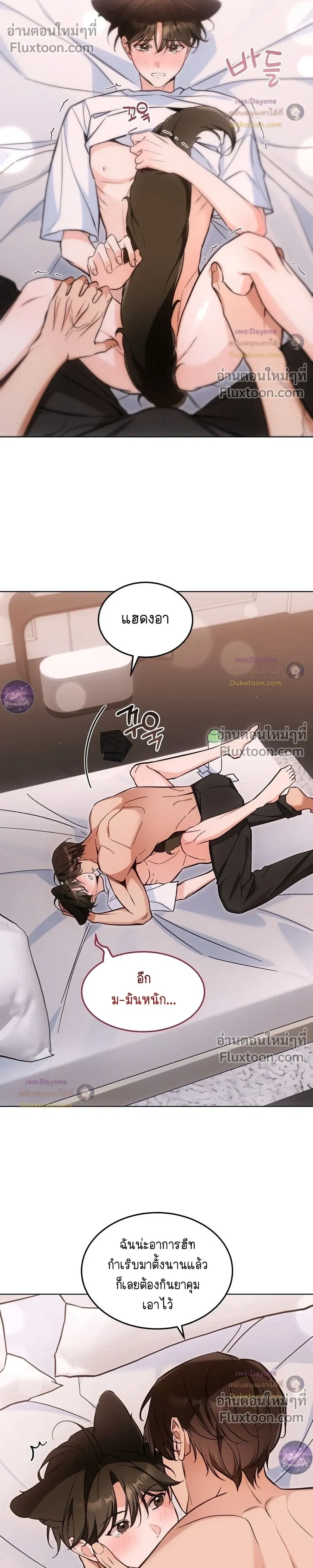 หน้าที่ 17