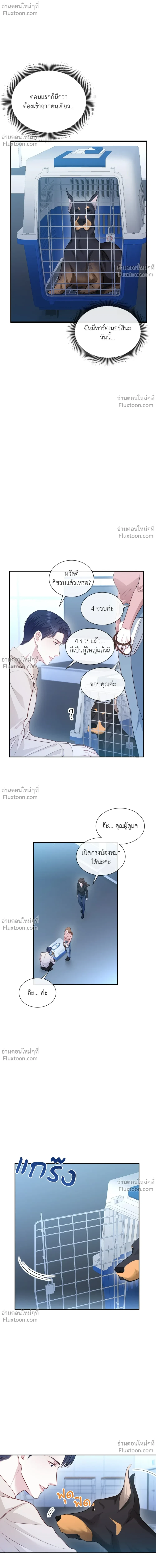 หน้าที่ 12