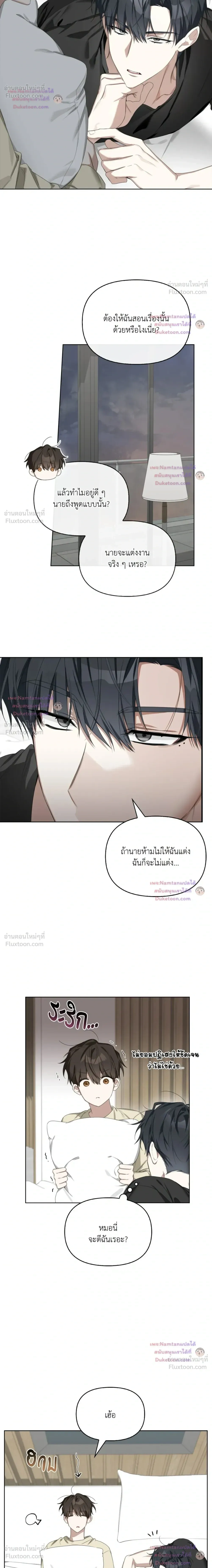หน้าที่ 13