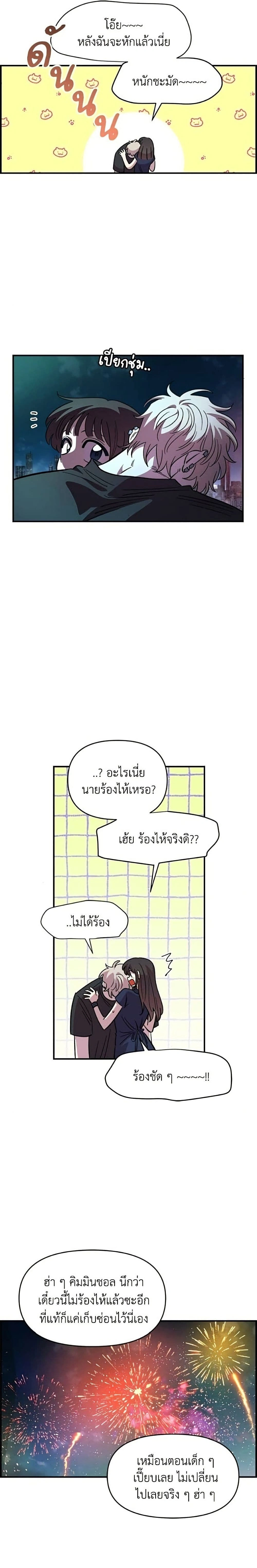 หน้าที่ 17