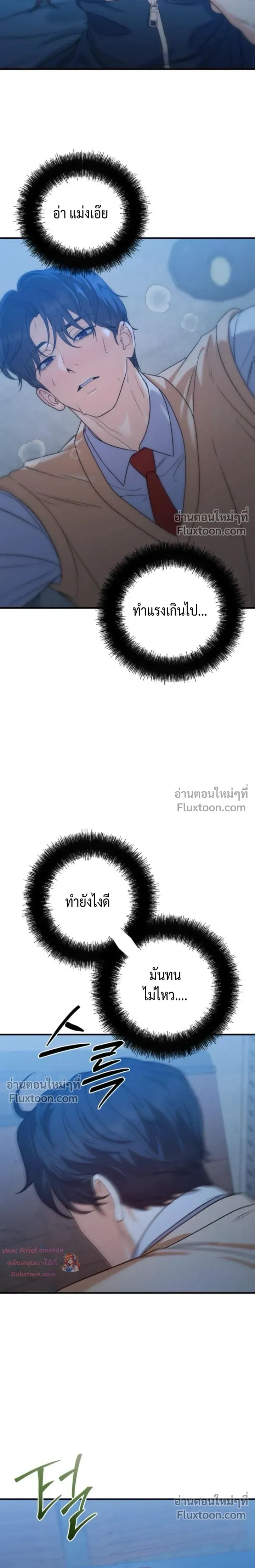 หน้าที่ 13