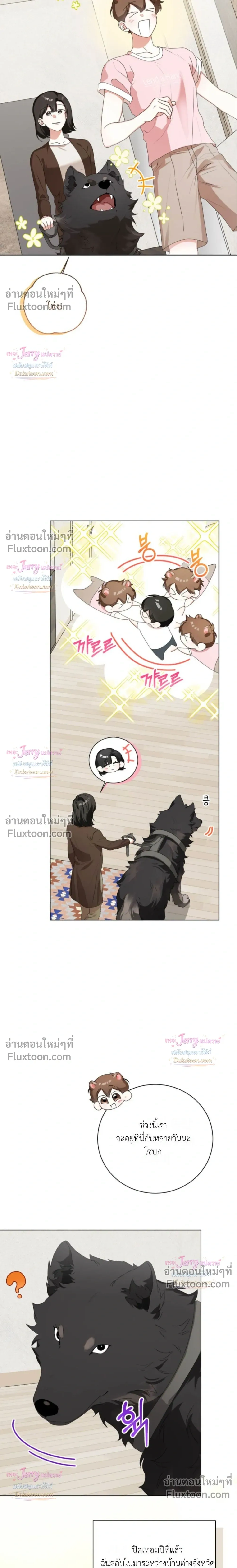 หน้าที่ 13