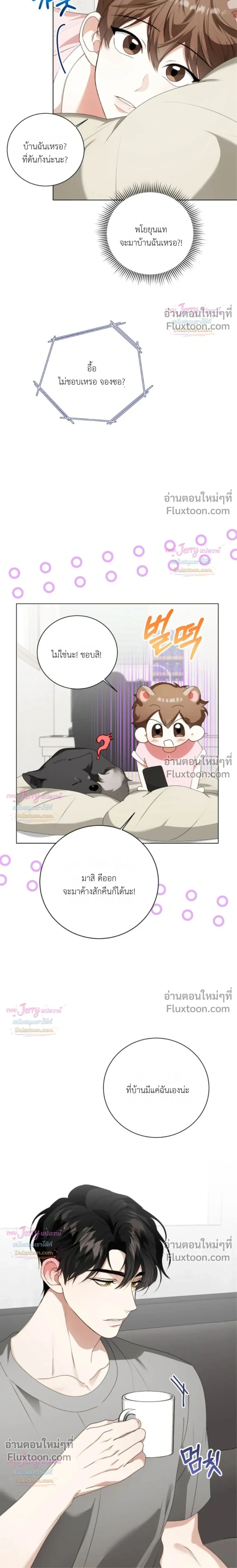 หน้าที่ 17