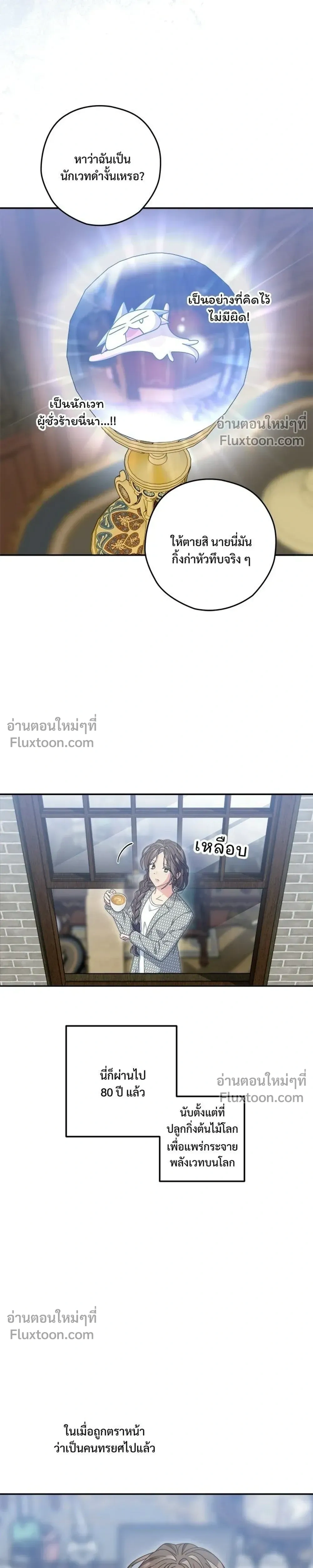 หน้าที่ 13