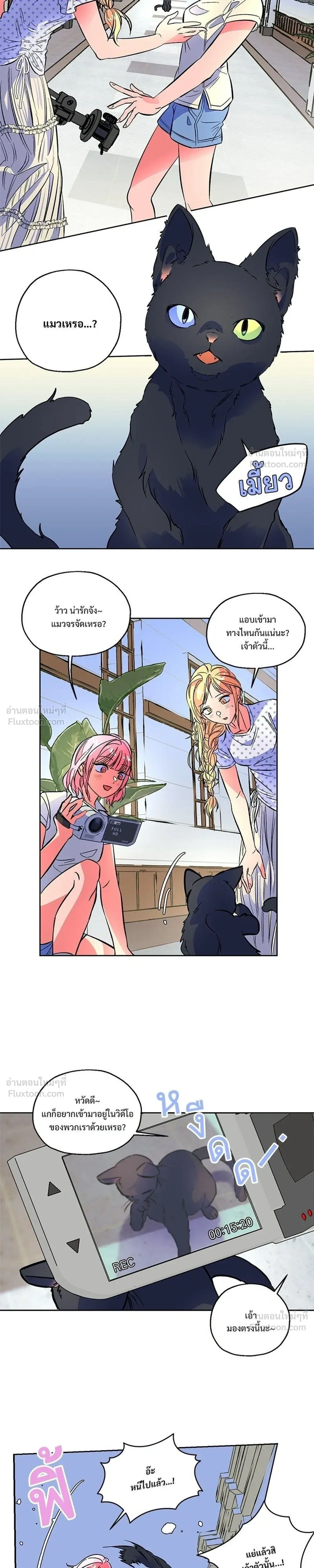 หน้าที่ 11