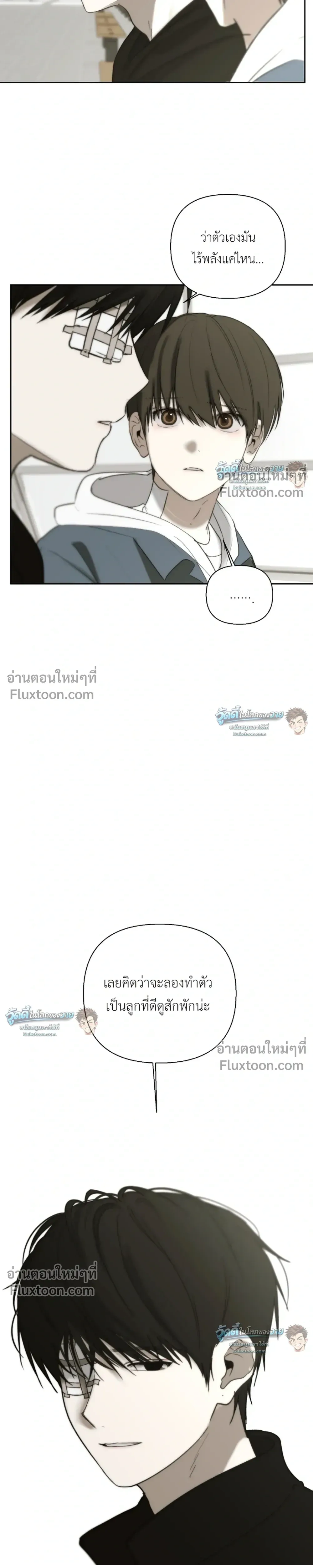 หน้าที่ 13